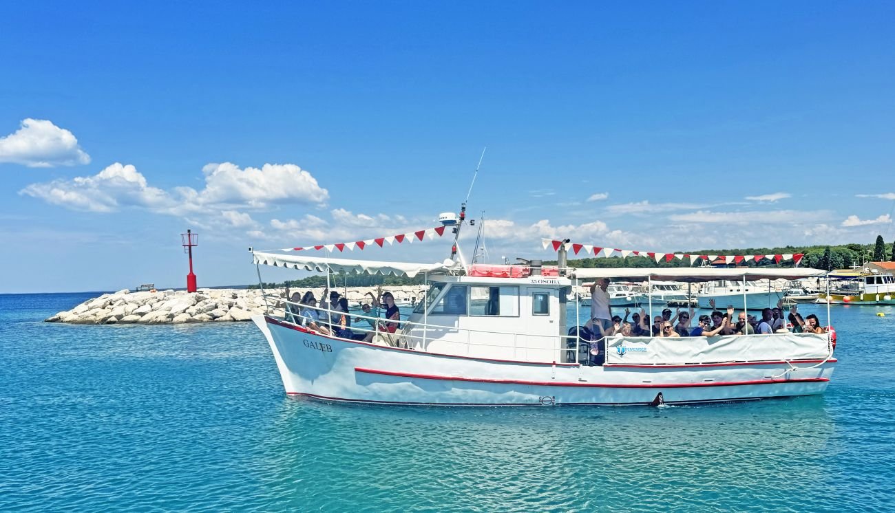 Dolphin watching tour in Hvar near Stari Grad